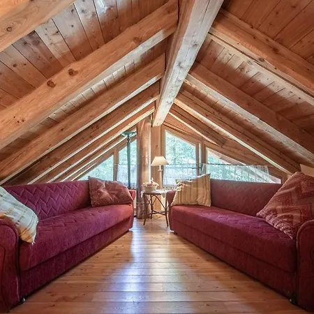 Chalet Di Montagna Immerso Nella Natura 펜션